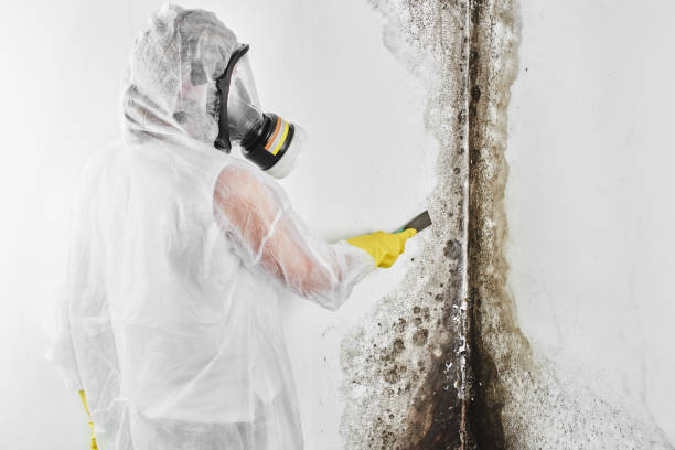 Best Mold Remediation for Healthcare Facilities  in Crow Agency, MT